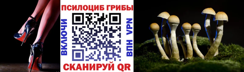 Галлюциногенные грибы мухоморы  Воркута 